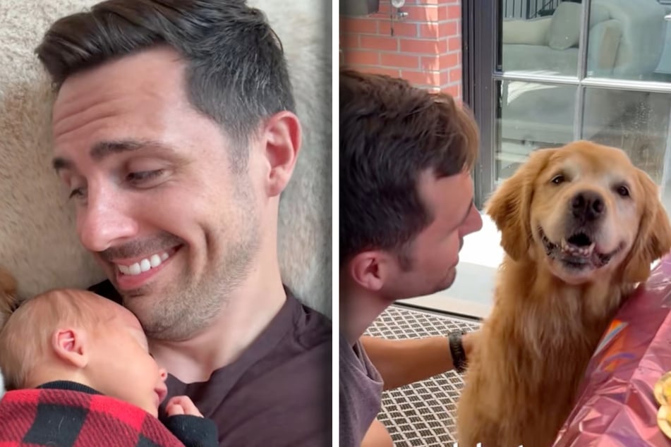 Mann ist gerade Papa geworden: Doch was er für Golden Retriever tut, lässt so viele Herzen schmelzen