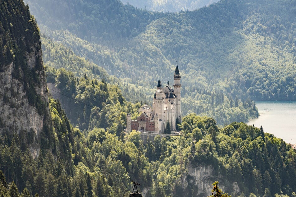 Hunde dürfen das Märchenschloss Neuschwanstein nicht besichtigen. Eine Frau sperrte ihren daher kurzerhand in ein Schließfach.