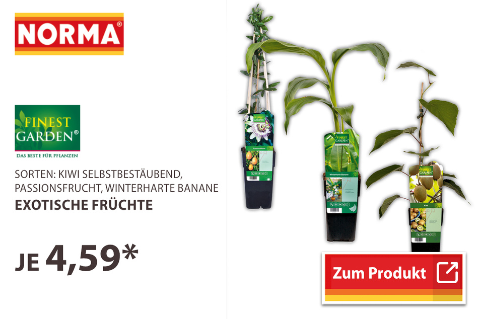 Exotische Früchte
