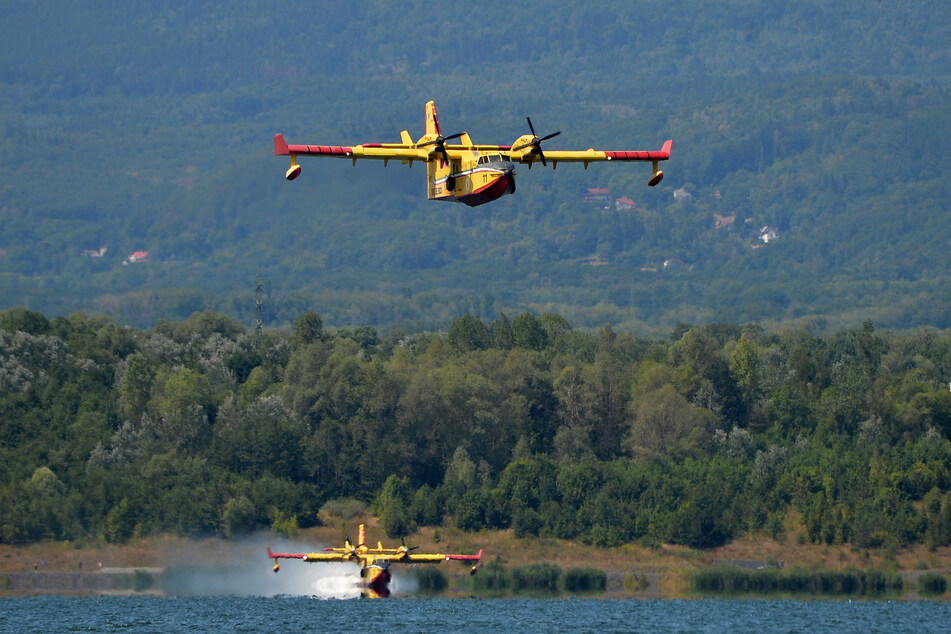 Ein Canadair-Löschflugzeug aus Italien füllt seinen Wassertank am Milada-See, etwa 30 Kilometer vom Brand im Nationalpark Böhmische Schweiz entfernt, auf.