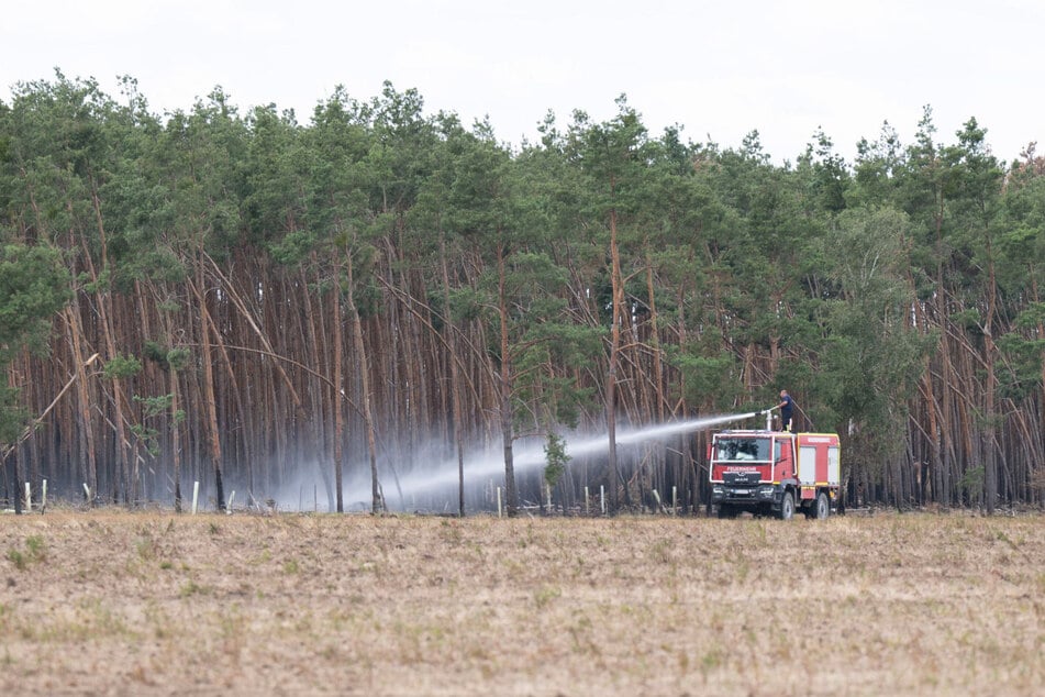 Der Waldbrand in der Gohrisch Heide hatte verheerende Auswirkungen.