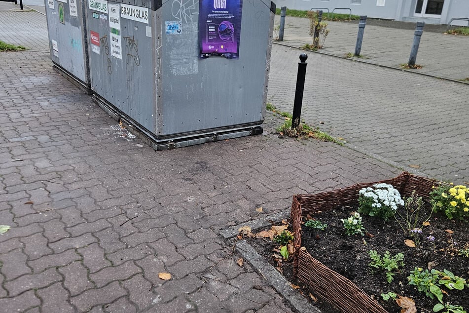 Wo 2004 für das "Dreckweg-Kollektiv" alles begann: Der Containerplatz auf der Tschaikowski-Straße, daneben das kleine Blumenbeet.