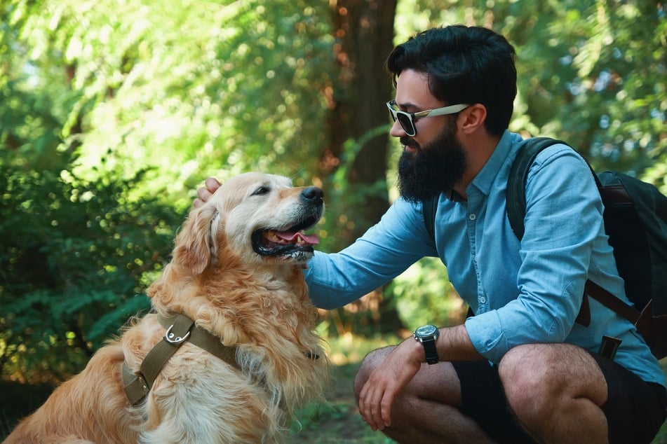 Hunde wären am liebsten permanent mit ihren Menschen zusammen.