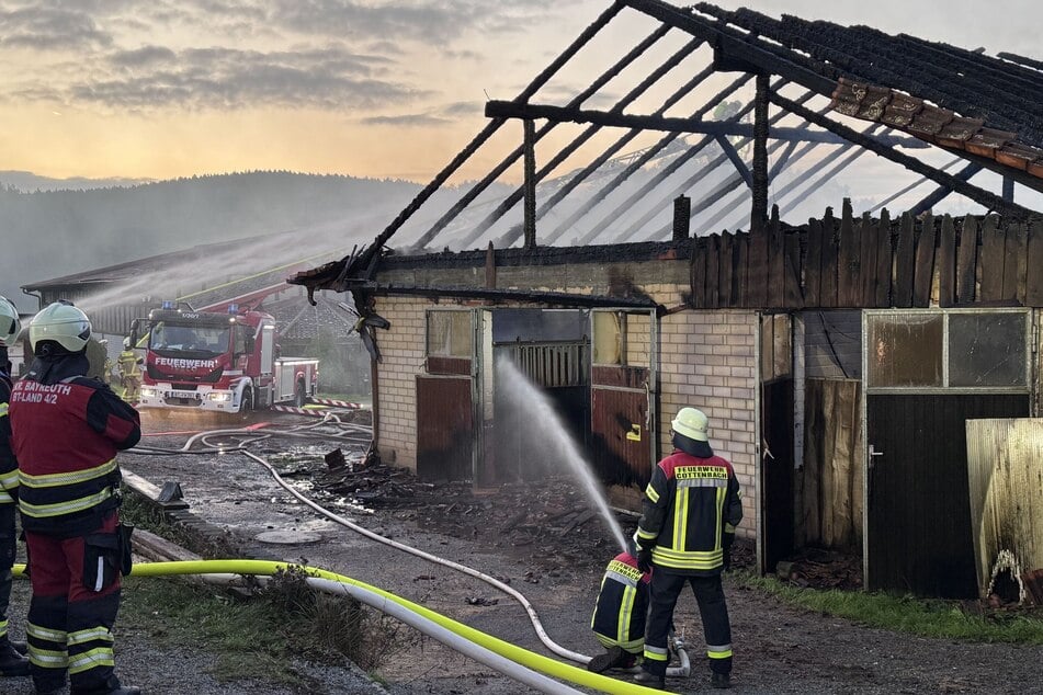Von der Halle blieb nach dem Feuer nur noch ein Gerippe übrig.
