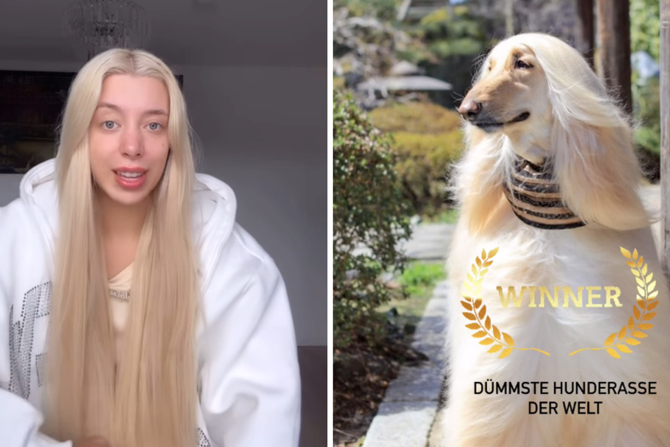 Der 47-Jährige vergleicht "Sommerhaus"-Krawallbürste Walentina Doronina (23) auf seinem Instagram-Profil mit einem afghanischen Windhund.