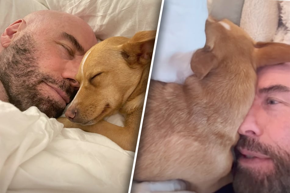John Travolta liegt mit Hund im Bett: Was dann passiert, lässt Herzen zum Schmelzen bringen