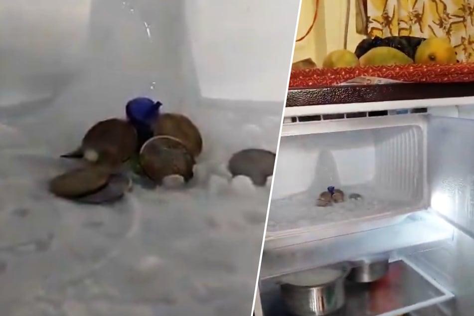 "Göttlicher" Eisberg in Kühlschrank entdeckt: Gläubige rennen Mann die Wohnung ein