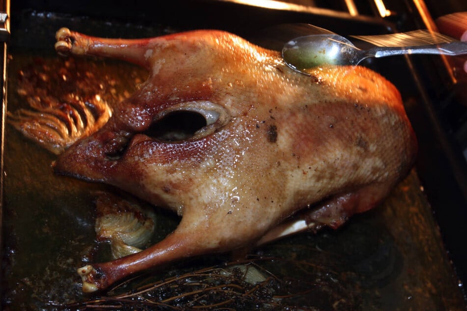 Weil er seinen Weihnachts-Vogel im Rohr vergessen hat, muss sich ein 65-jähriger Neuruppiner wegen mehrerer Straftaten verantworten. (Symbolfoto)