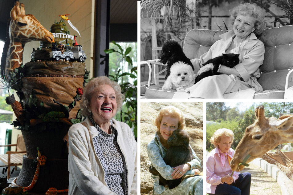 Betty White had a giant animal cake for her 90th birthday (l.), and often posed for photos with her pets (top r.), and with wild animals (bottom r.).