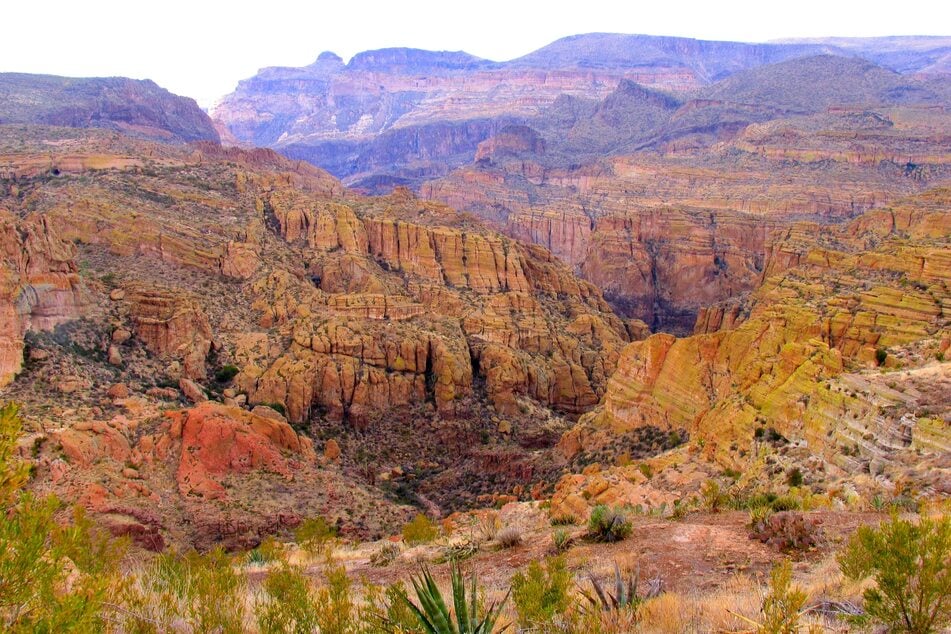 Die Leichen wurden Tonto National Forest, am Mount Ord gefunden.