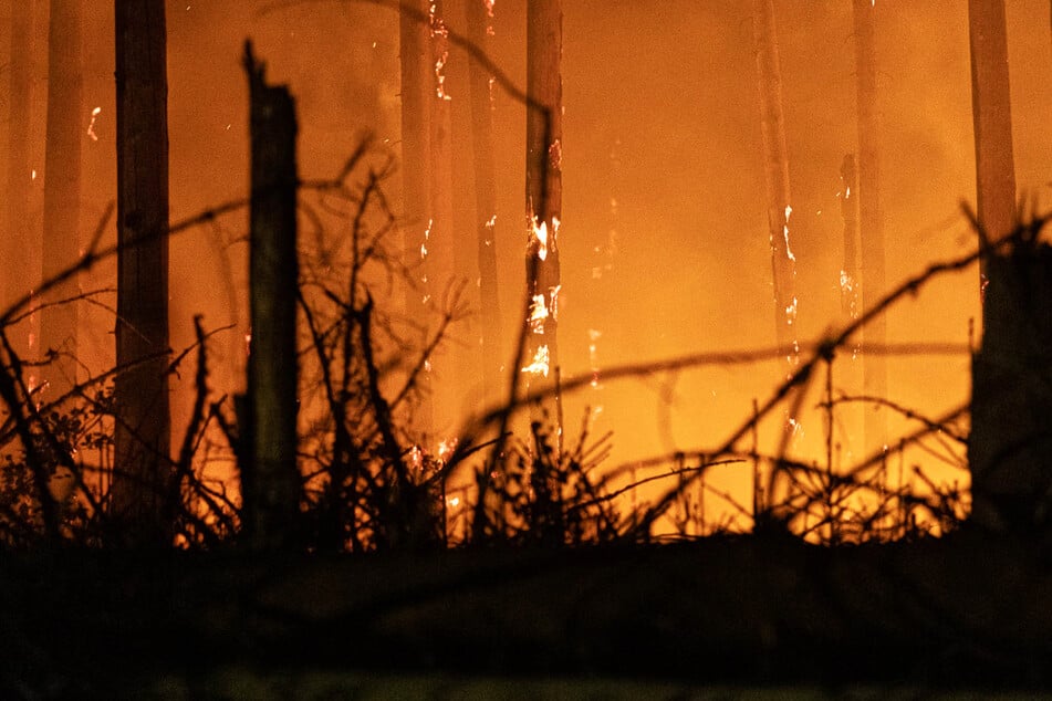 Durch die Trockenheit fanden die Flammen sehr viel Nahrung: Der Wald bei Haiger wurde zu einer regelrechten Flammenhölle.