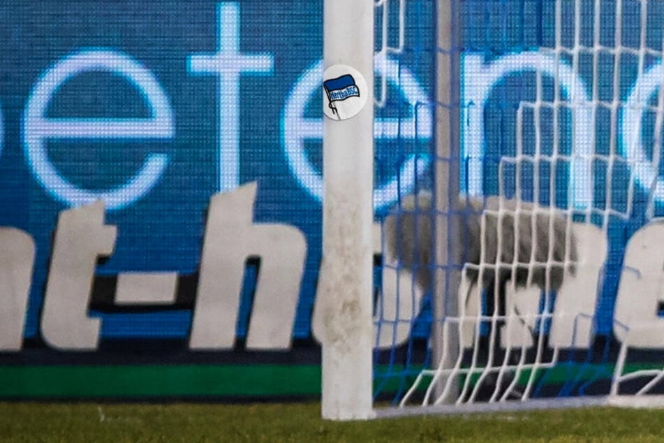 Der linke Pfosten hat Hertha BSC im Spiel beim FC Schalke 04 gleich zweimal kurz nacheinander den Sieg gerettet.