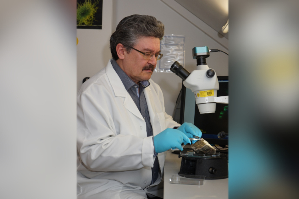 Prof. Dr. Hermann Ehrlich (62) entdeckte die antiviralen Substanzen, die der Schwamm produziert.