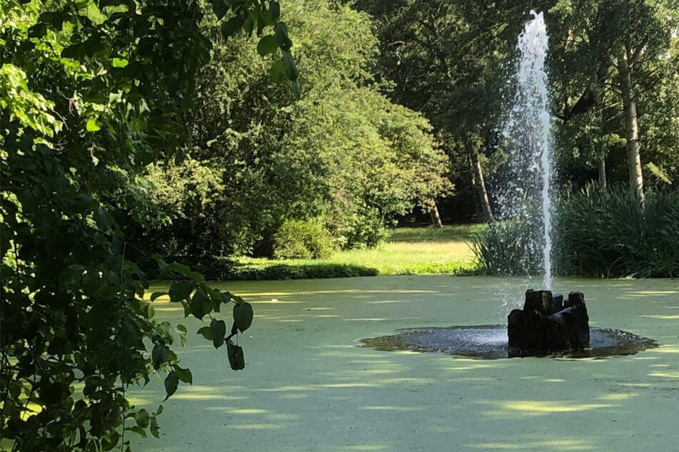 So sah der Teich einmal aus.
