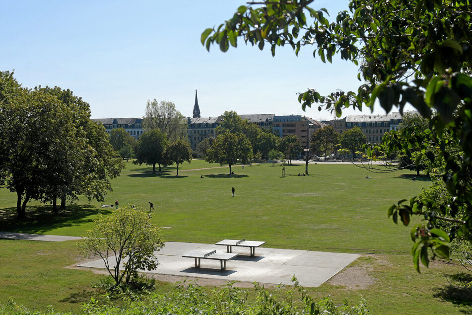 Im Dresdner Alaunpark kam es zu einem sexuellen Übergriff. (Archivbild)