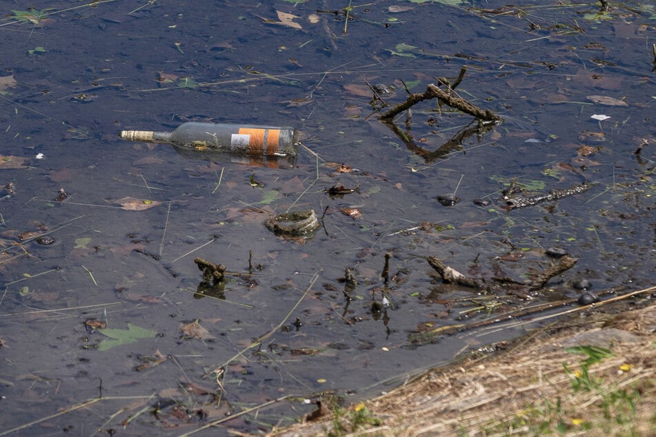 Neben "Fast Food"-Tüten, schwimmen auch allerhand Glasflaschen im Teich.