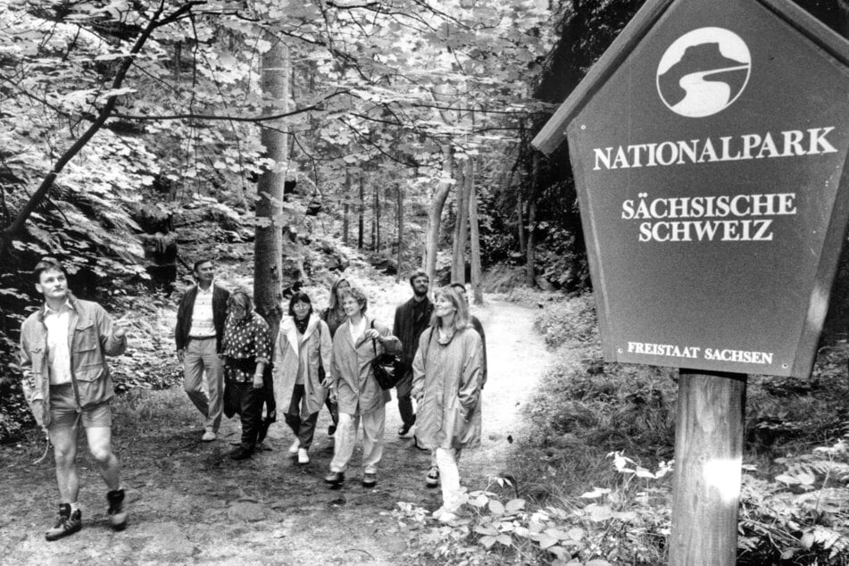 Schon in den 1990er-Jahren führte die Nationalparkwacht Besucher durch den Nationalpark.