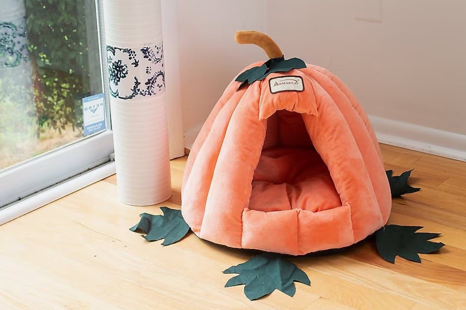 So cute! This cat bed is a must-have for fall and halloween