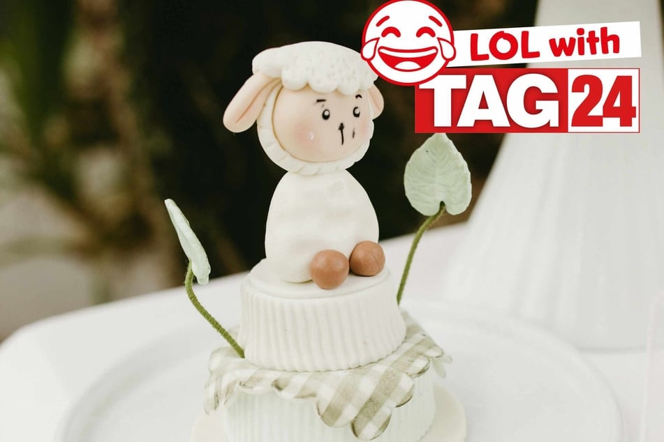 Joke of the Day for January 18, 2026: A Sunday Funday funny