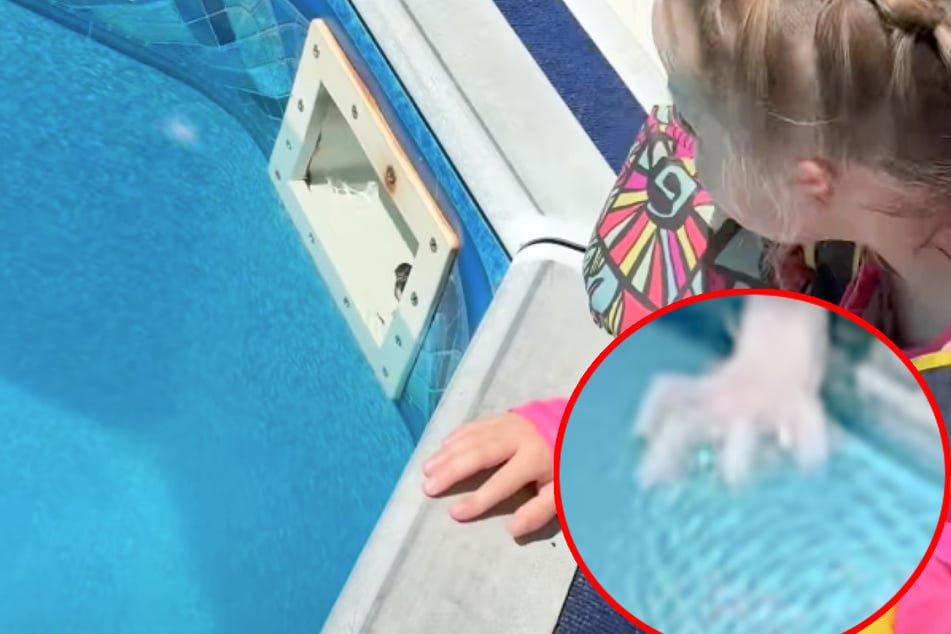 Familie zuckt zusammen, als sie plötzlich kleine Hand im Pool-Filter entdeckt