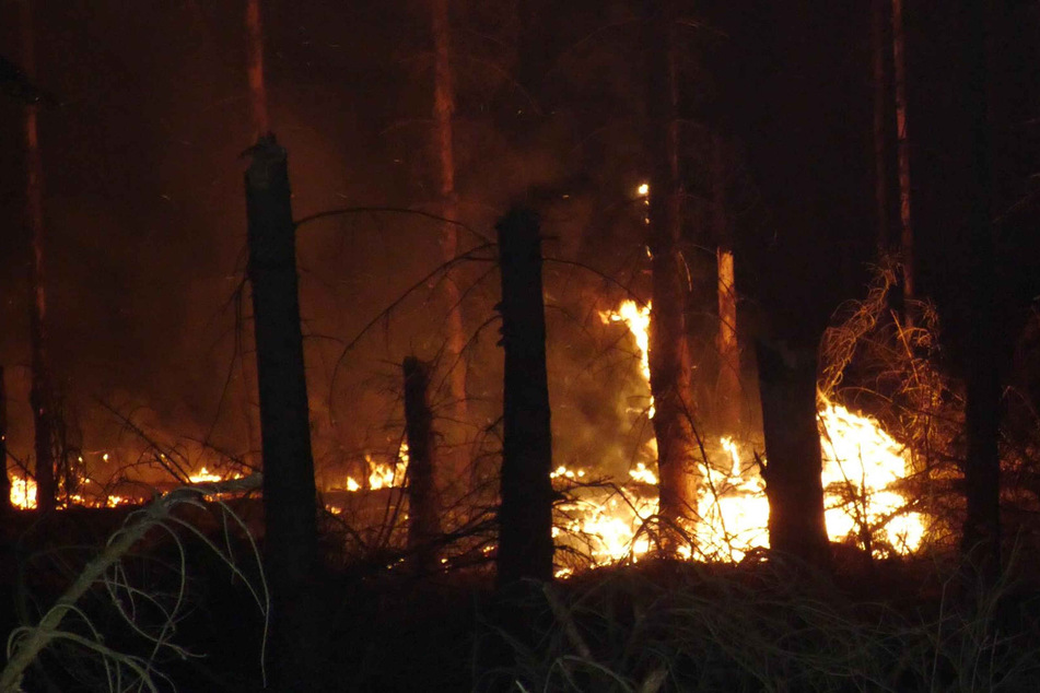 Während der Löscharbeiten in der Böhmischen Schweiz ist nur wenige hundert Meter vom ersten Brandort entfernt ein neuer Waldbrand ausgebrochen.
