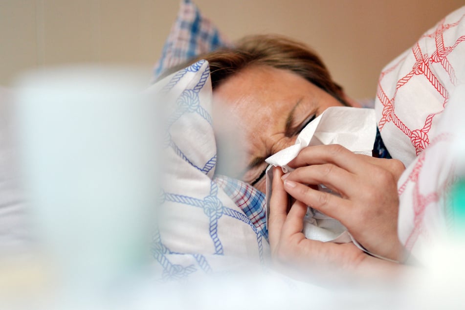 Sachsen hustet sich in die Ferien: Dauerfrost treibt Influenzawelle an