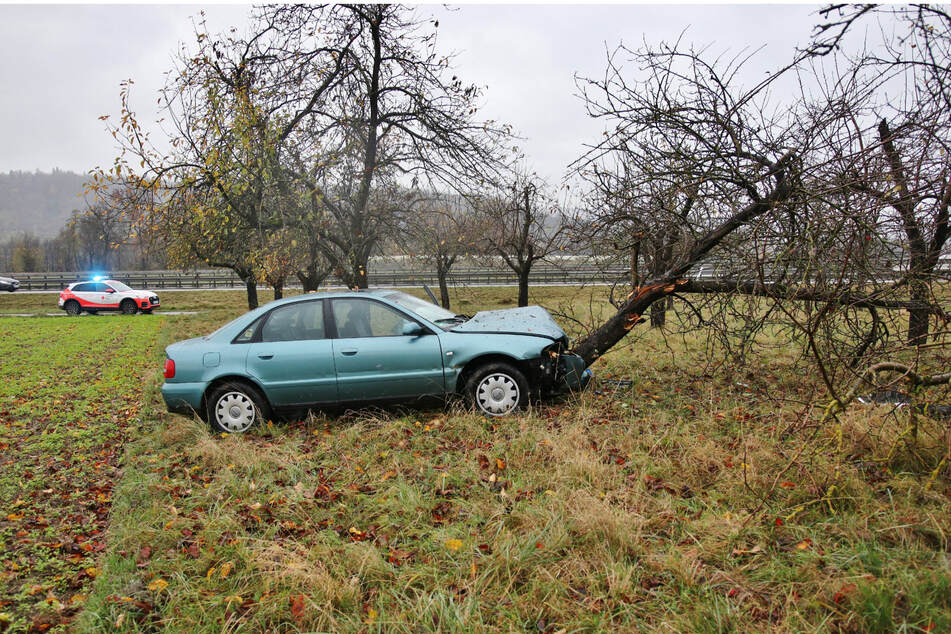 Der Wagen des Unfallopfers hob einen Baum aus seiner Verankerung.