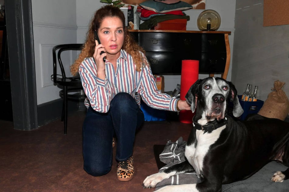 Nina ist in der Silvesternacht die Dogge von Billy Sunset zugelaufen.