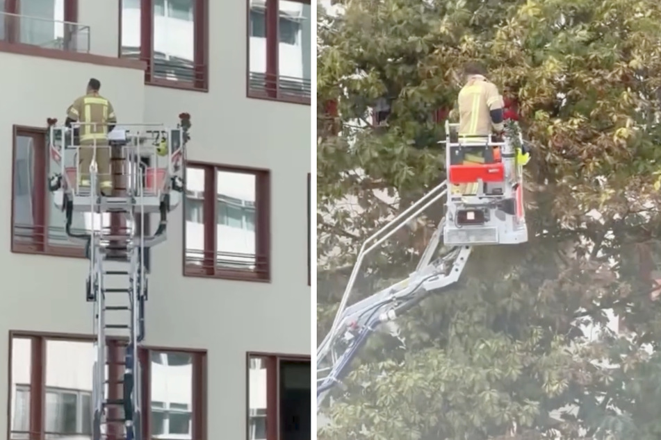 Mit roten Rosen machte sich der Feuerwehrmann auf zu seiner Liebsten.