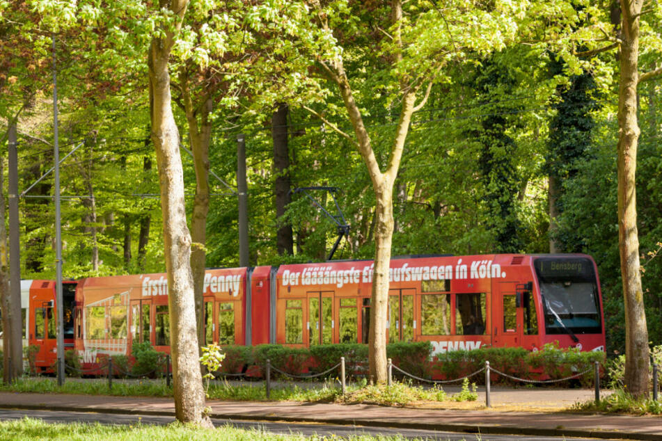 Die Straßenbahnlinie 7 soll in zwei Stufen bis Porz-Langel verlängert werden (Symbolbild).