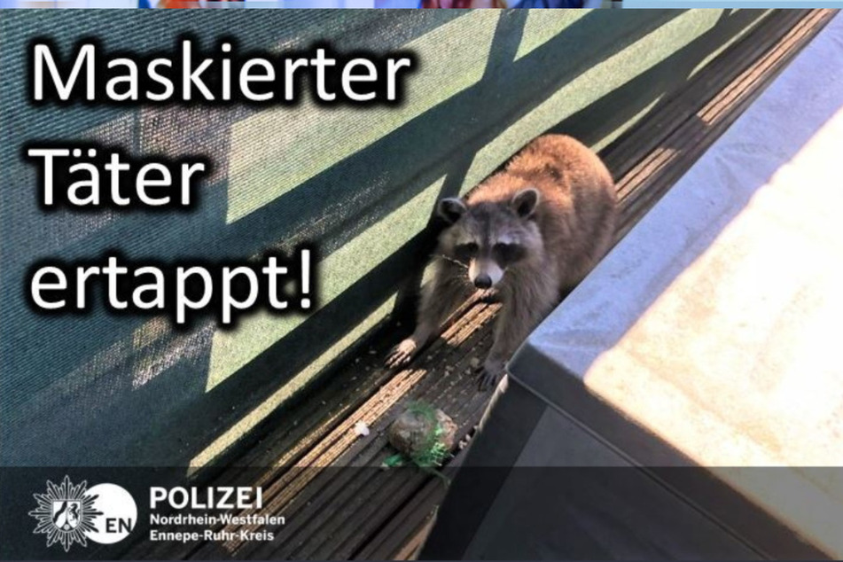 Polizei ließ den vermeintlichen Einbrecher laufen.