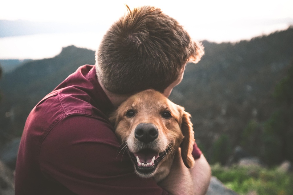Close interactions with a dog has been shown to lower stress.