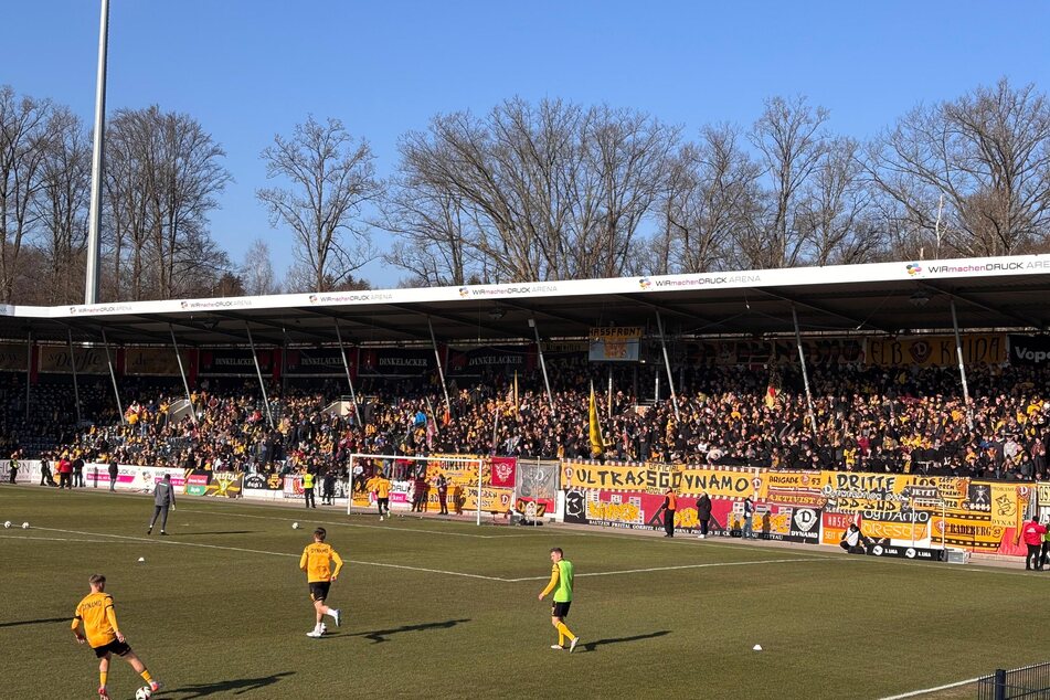 Fast 500 Kilometer sind es von Dresden nach Großaspach, trotzdem sind die Ränge schwarz-gelb.