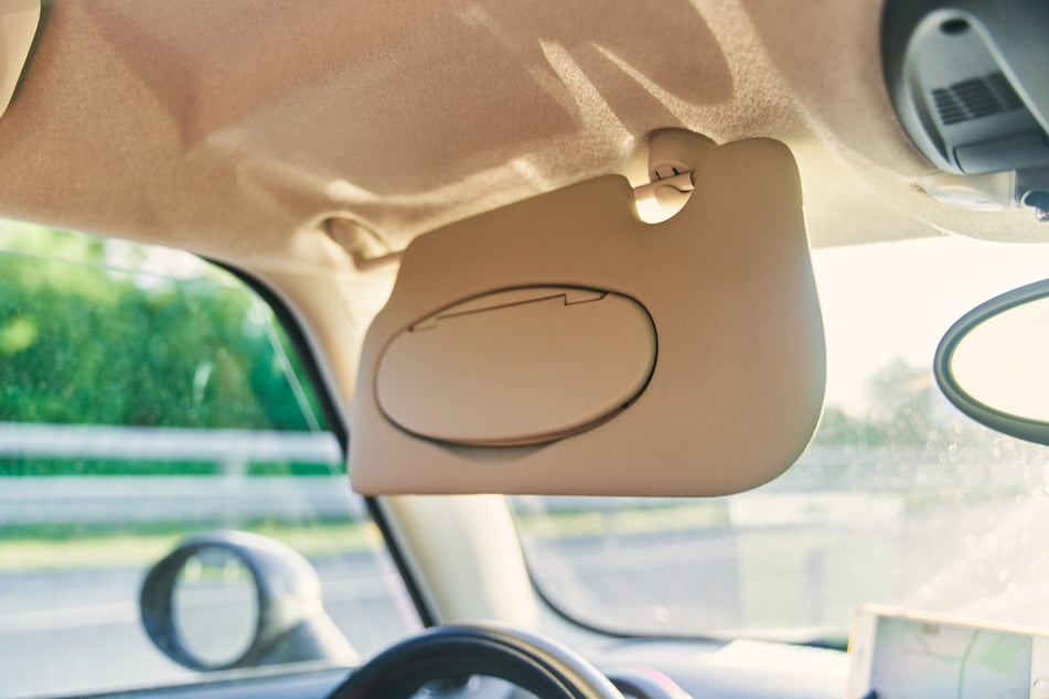 Ein sich abseilendes Krabbeltier im Wagen eines 18-Jähriges sorgte am Sonntag für einen Unfall mit Schäden an insgesamt drei Autos. (Symbolbild)