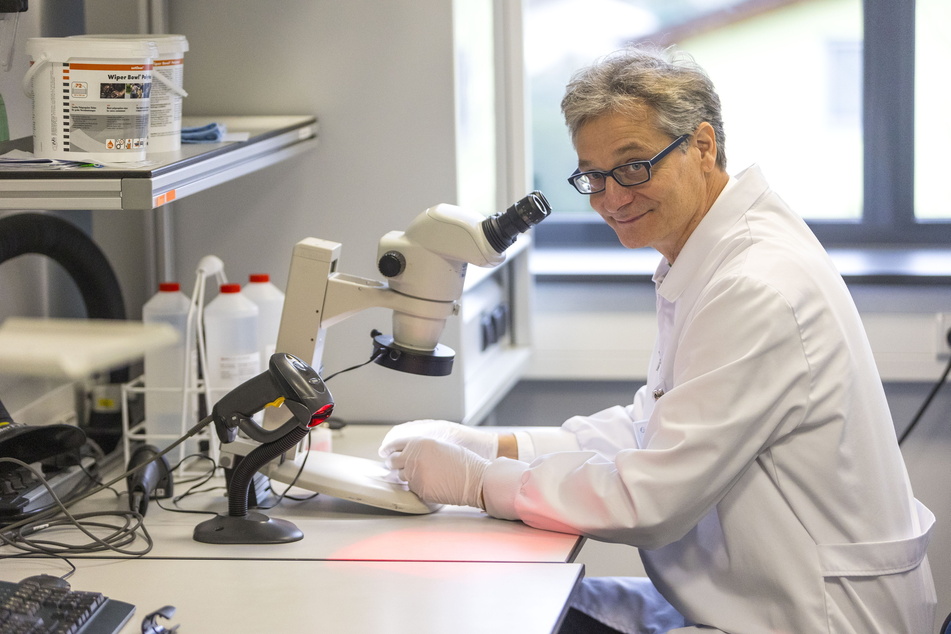 Jens Müller untersucht am Mikroskop die Güte einer Batterie. Der 57-Jährige leitet das Qualitätsmanagement bei Litronik.