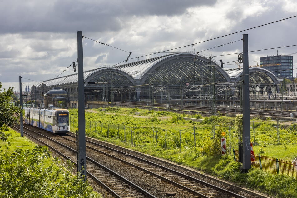 Die Grünfläche soll im Frühjahr bebaut werden.