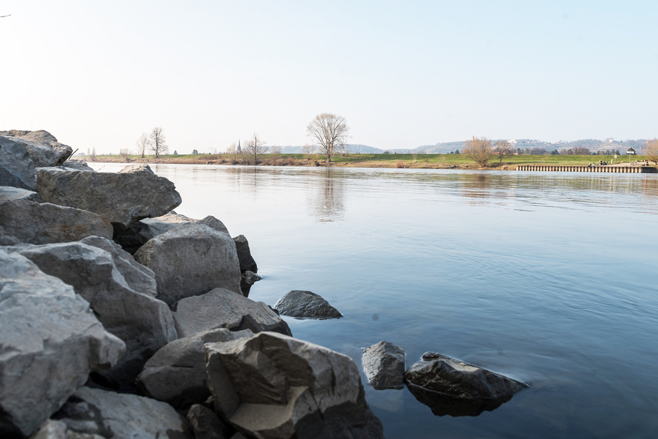 Blick über die Elbe in Richtung Friedenskirche. Der Fluss bildet auf gut fünf Kilometer Länge die Grenze zu Radebeul.