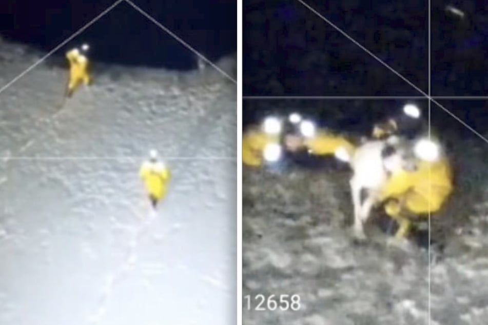 Nach rund zehn Minuten gelang es den Rettungskräften, den Hund aus dem eisigen Wasser zu ziehen.