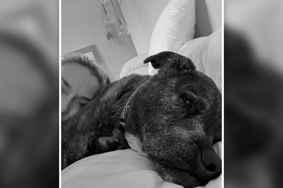 Seit 13 Jahren waren Lindsey Vonn (41) und Leo unzertrennlich.