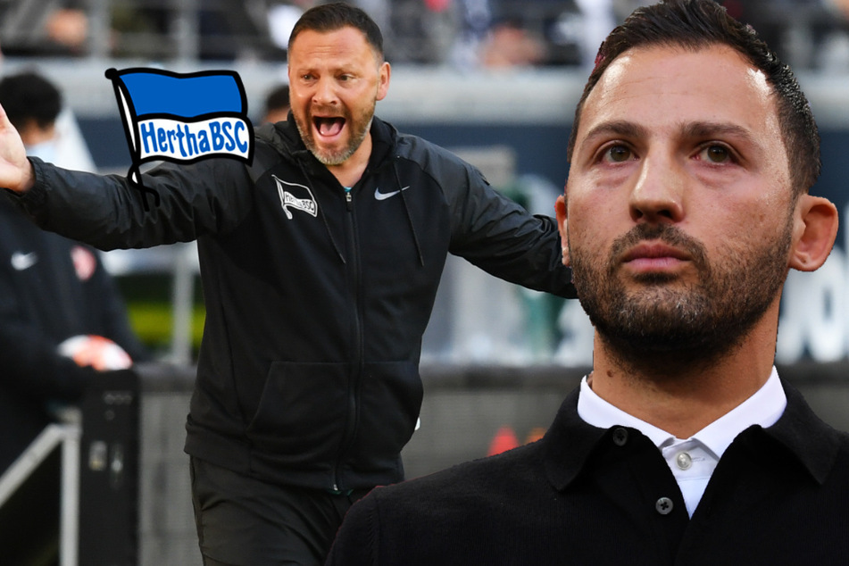 Trainerdiskussion bei Hertha BSC: Hat Tedesco abgesagt?