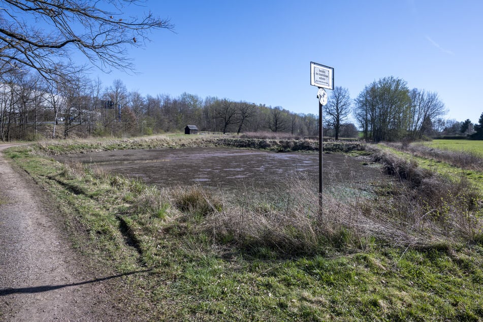 Der Einsatz fand in den Schönauer Teichen statt.