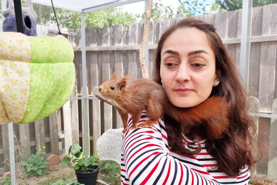 Mona Gharib (43) ist als Eichhörnchen-Retterin bekannt.