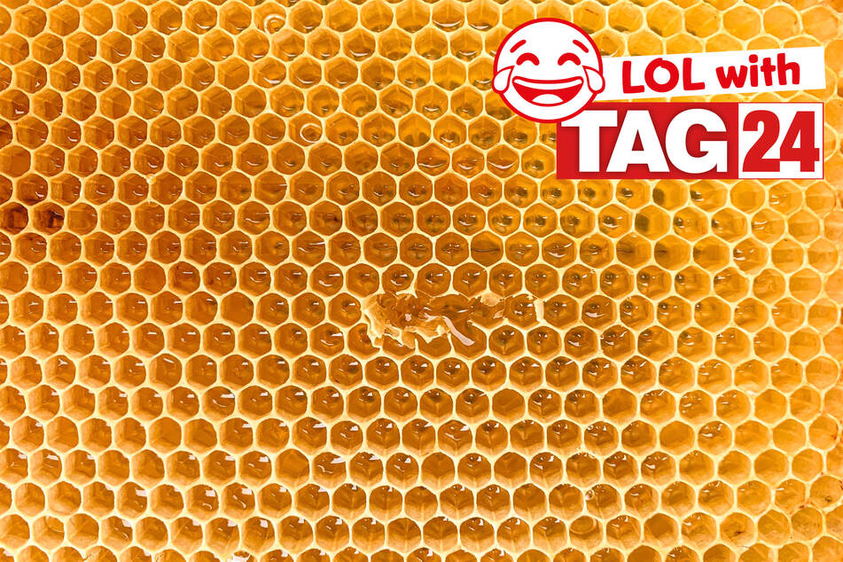 Today's Joke of the Day is sweet like honey!