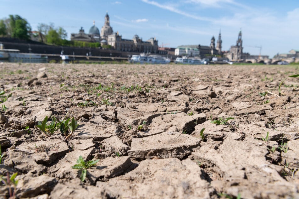 Experten prophezeien weitere Dürre-Sommer