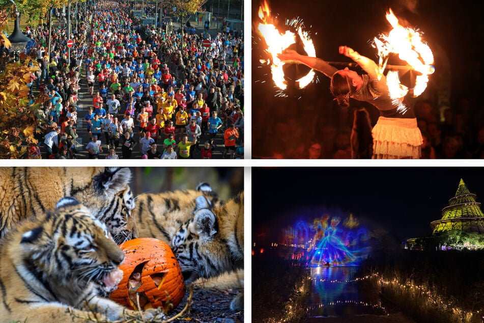 Wegen dieser coolen Events ist in Magdeburg am Wochenende viel los