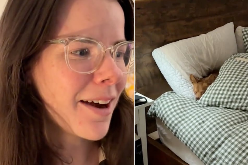 Pflegemutter Isabel Klee hat ihren Pflegehund Ilya in ihrem Bett erwischt. Dies ist dem Vierbeiner eigentlich untersagt.