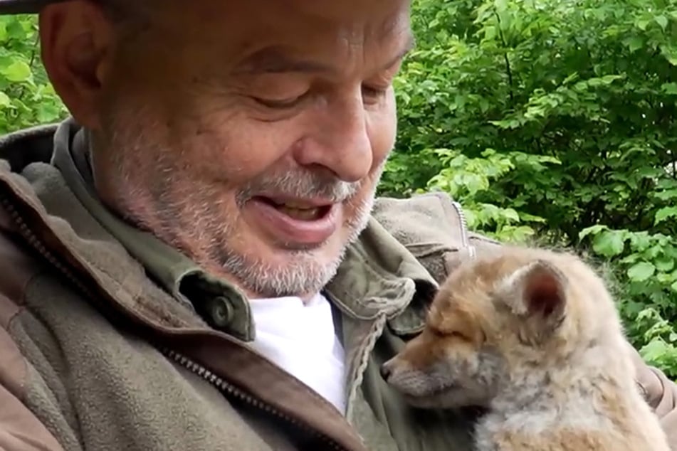 Dirk Hartung aus Hohen Neuendorf (Oberhavel) zieht Fuchs-Welpe Lotti bei sich zu Hause groß.
