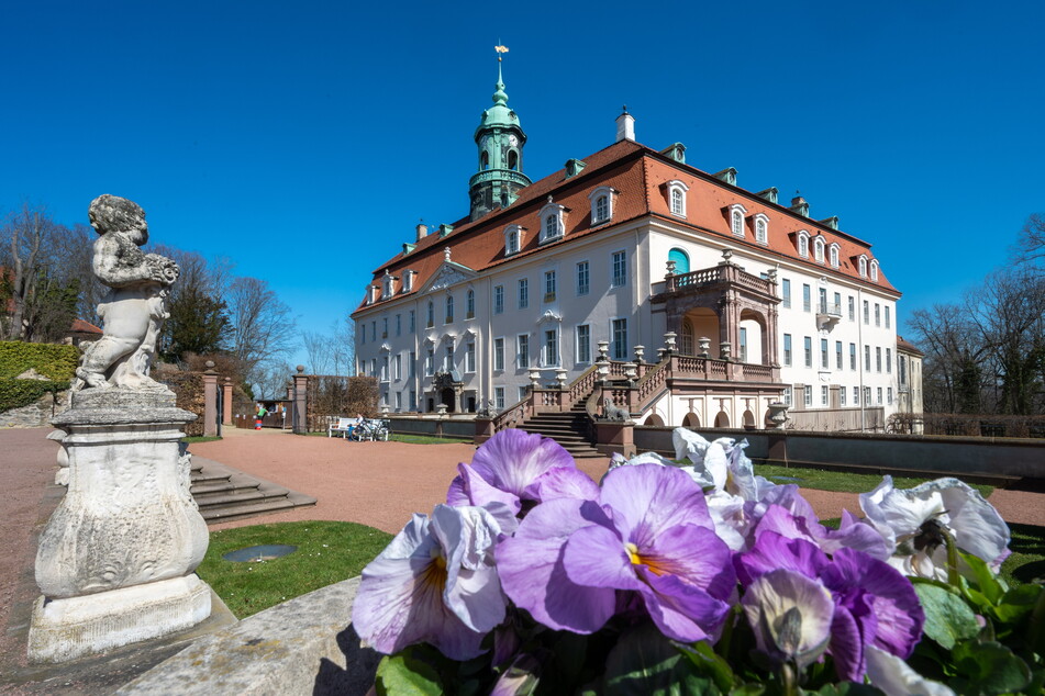 Das Schloss Lichtenwalde begrüßt den Frühling mit einer neuen Ausstellung.