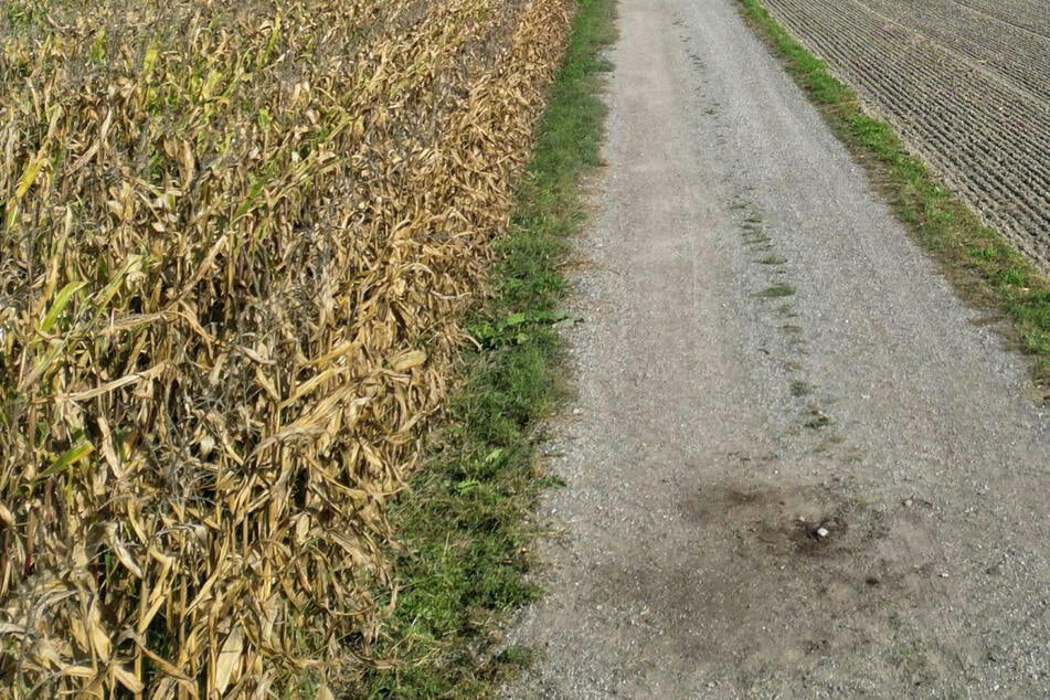 Leipzig: Zeugen gesucht: 24-Jähriger wird in Hinterhalt gelockt und angegriffen - Mittäter in Haft