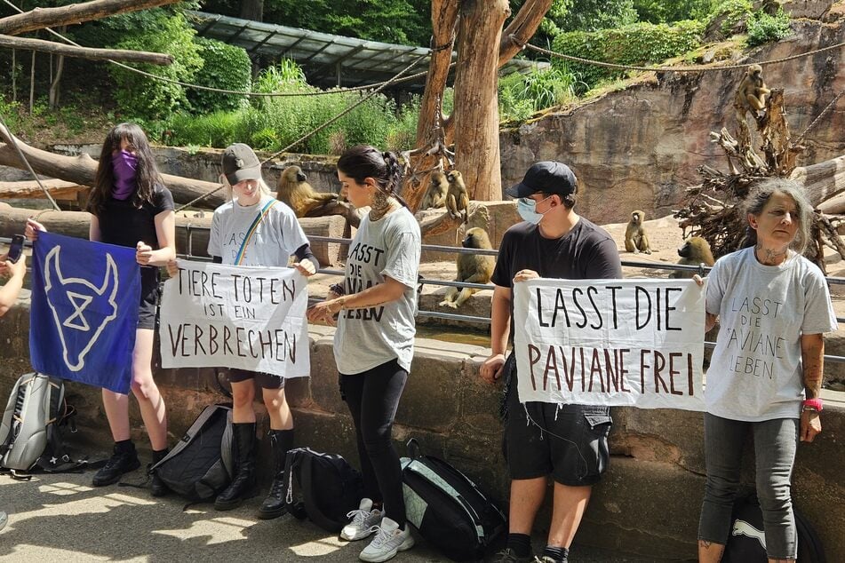 Aktivisten der Gruppe "Animal Rebellion" protestieren gegen die geplante Affentötung im Tiergarten Nürnberg.